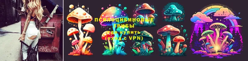 ссылка на мегу как зайти  Уссурийск  Галлюциногенные грибы Cubensis  купить наркотик 